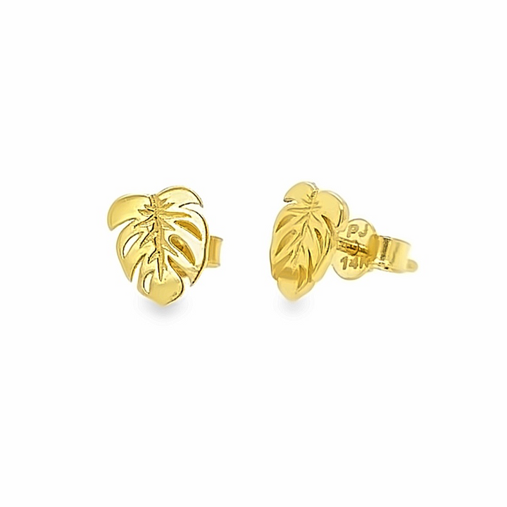 Monstera leaves gold studs